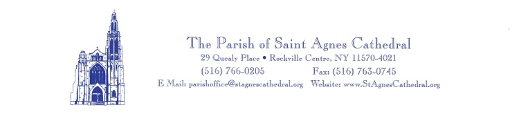 The Parish Cathedral of St. Agnes logo